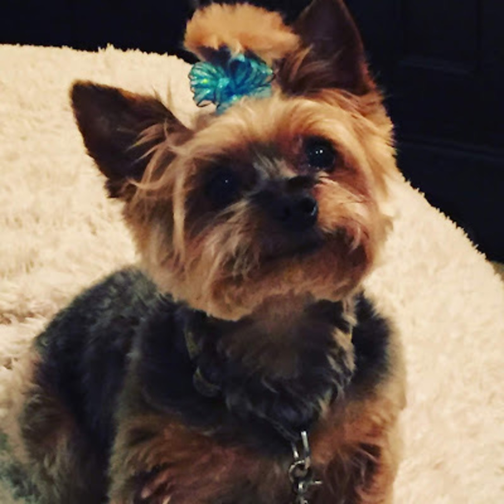 Meet your Posher, Madeleine